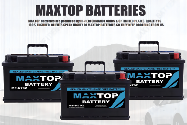 maxtopbatteries.com maxtopbatteries.com